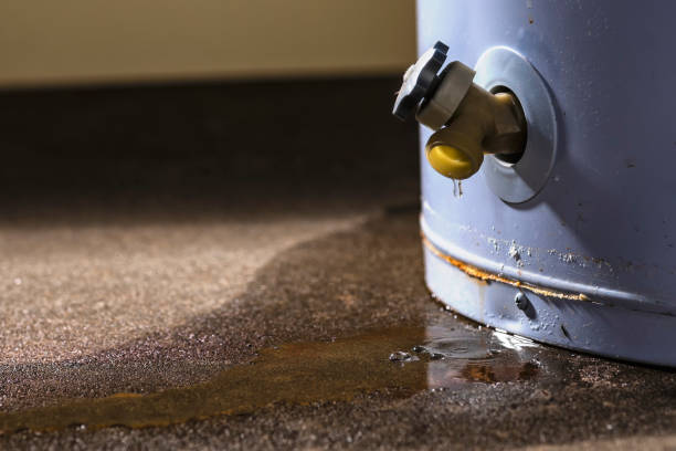 Best Mold removal after water damage  in Ramsey, MN