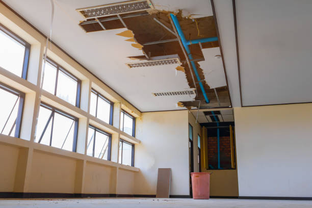 Best Fire Damage Restoration  in Ramsey, MN