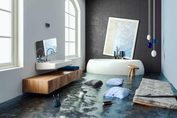 Best Water damage contractors near me  in Ramsey, MN