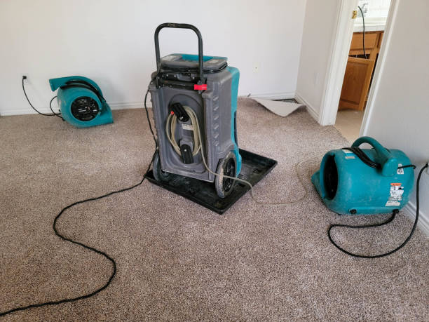 Best 24/7 water damage repair  in Ramsey, MN