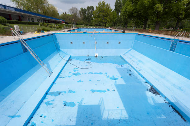 Best Professional water damage repair  in Ramsey, MN