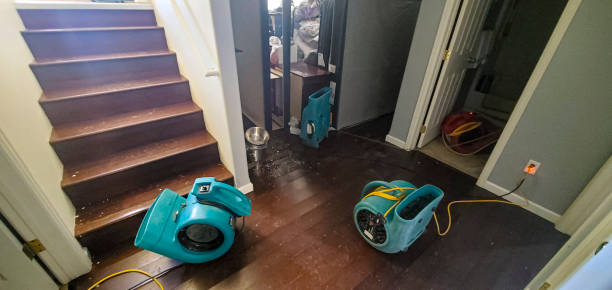 Best Basement water damage restoration  in Ramsey, MN