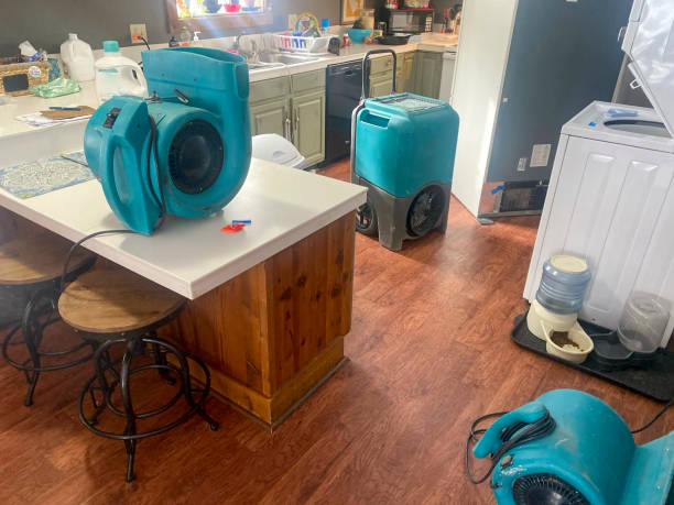 Best Water damage mitigation services  in Ramsey, MN