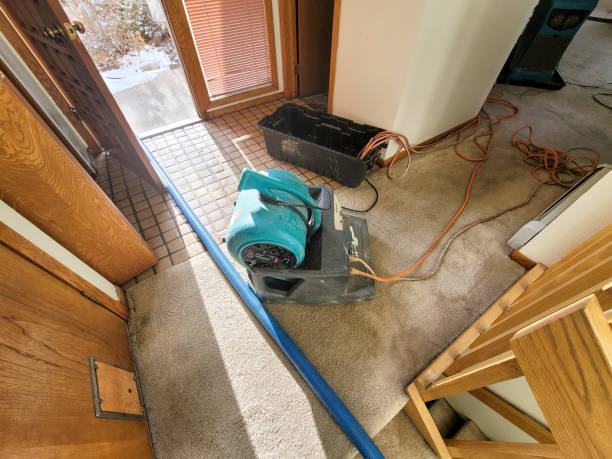 Best Flood restoration services  in Ramsey, MN