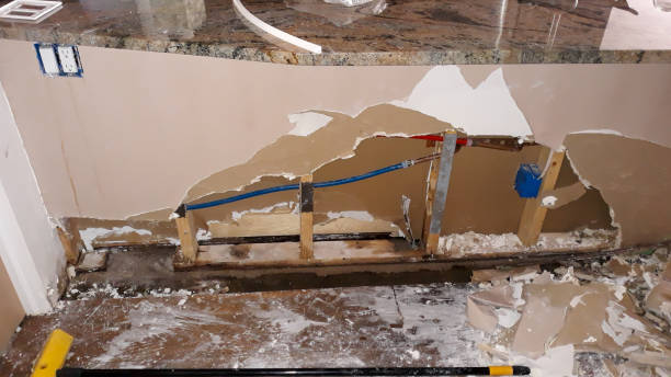 Best 24-hour water damage restoration  in Ramsey, MN
