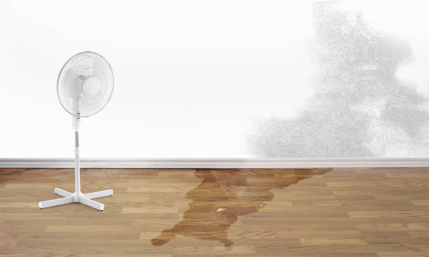 Best Commercial water damage restoration  in Ramsey, MN