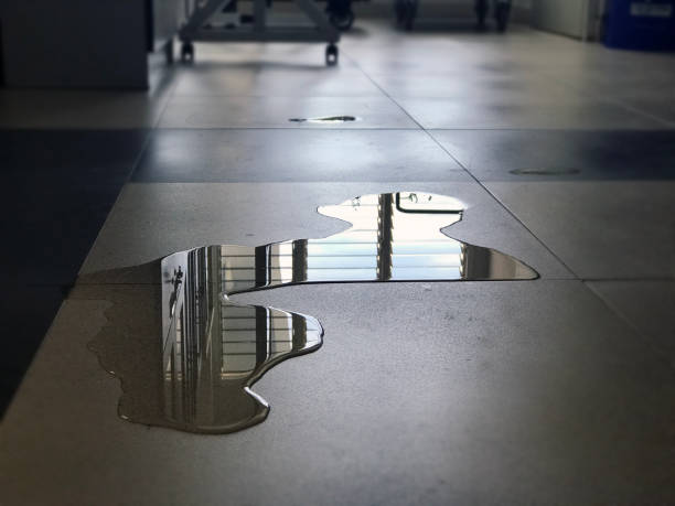 Best Water damage restoration near me  in Ramsey, MN
