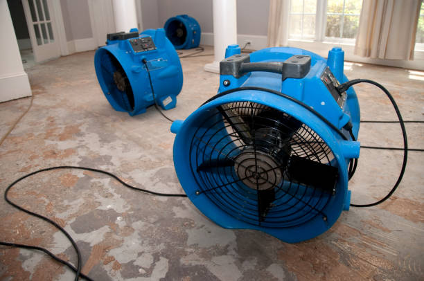 Best Commercial water damage restoration  in Ramsey, MN