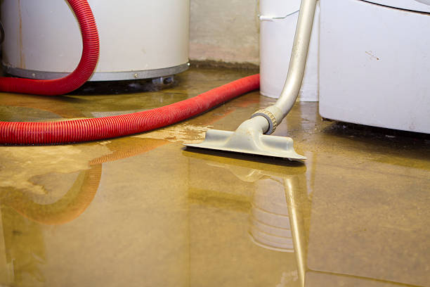 Best Commercial water damage restoration  in Ramsey, MN