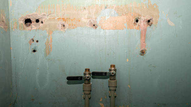 Best Water damage restoration specialists  in Ramsey, MN