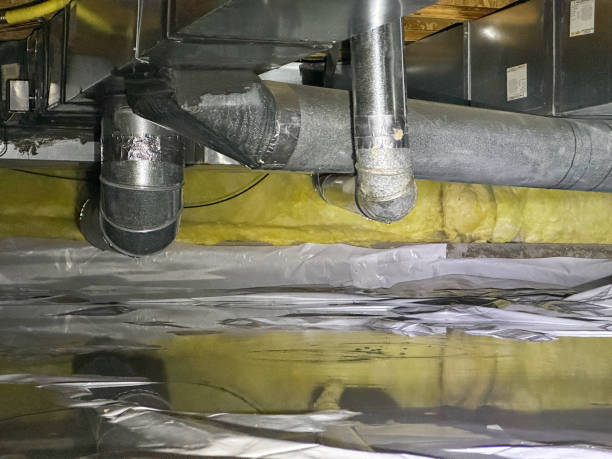 Best Flood damage cleanup  in Ramsey, MN