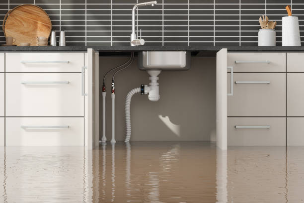 Best Flood restoration services  in Ramsey, MN