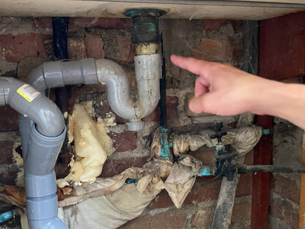 Best Water damage restoration specialists  in Ramsey, MN