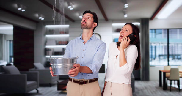 Best Flooded house restoration  in Ramsey, MN