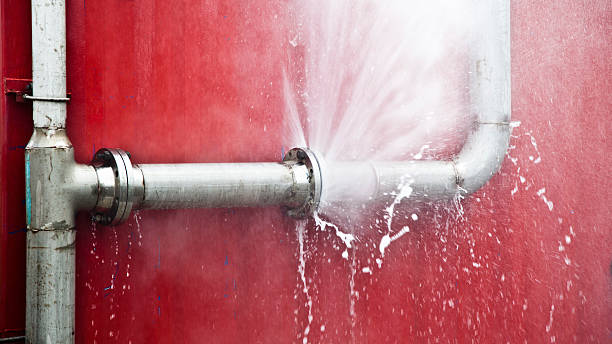 Best Water damage restoration process  in Ramsey, MN